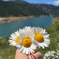 geylulTC🇹🇷 (@geylultc) 's Twitter Profile