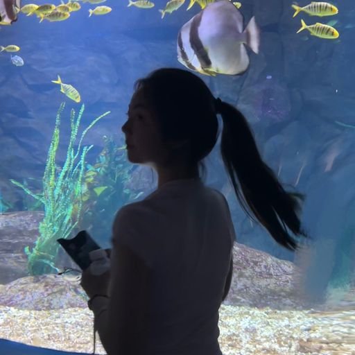 NitzscheTr53563's profile picture. gods determine what going to be