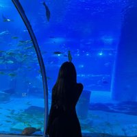 ποΈπΏ (@rosiewilli43909) 's Twitter Profile