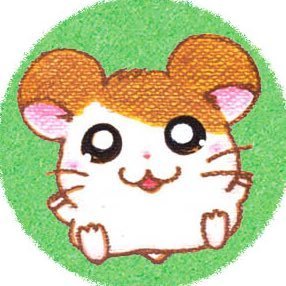 카짱네버다이さんのプロフィール画像