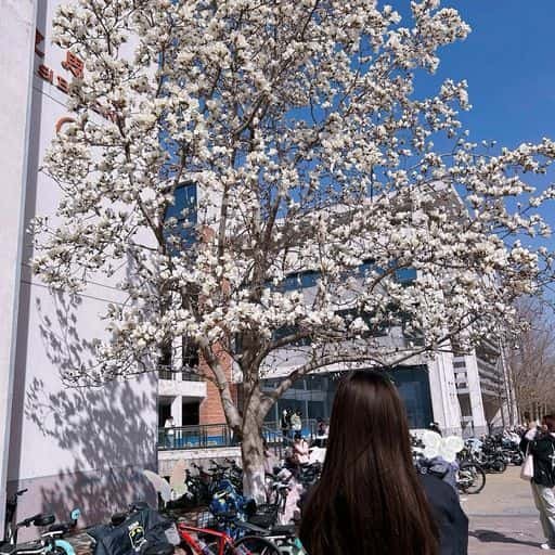 CassinLeon90726's profile picture. gods determine what going to be