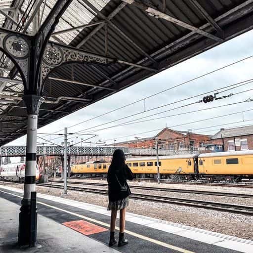 lubowitz34857's profile picture. gods determine what going to be