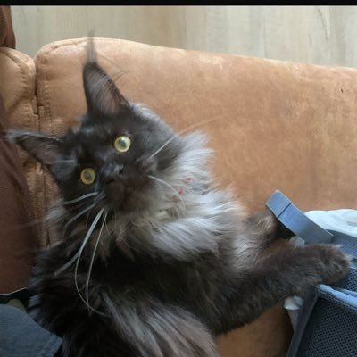 els Profile