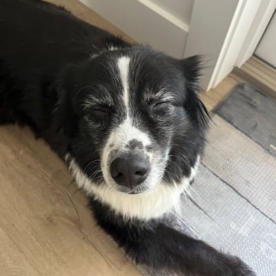 imonlyabill's profile picture. 