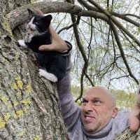 Пакет (@yebatshampinion) 's Twitter Profile