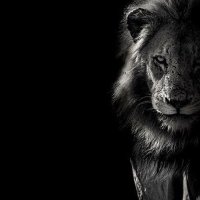 brb (@byrb) 's Twitter Profile