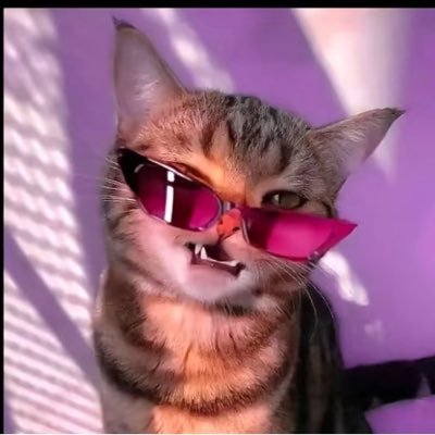 skr1pte0's profile picture. https://t.co/Mda8pTbtbr