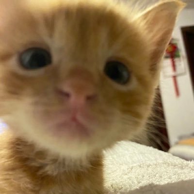 mildestme's profile picture. 