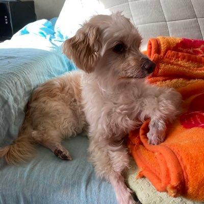 32_porocoty's profile picture. 