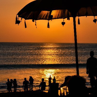 meghyvarga's profile picture. 