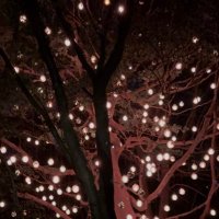 ワタル🏴‍☠️♌️ (@wata_9498) Twitter profile photo