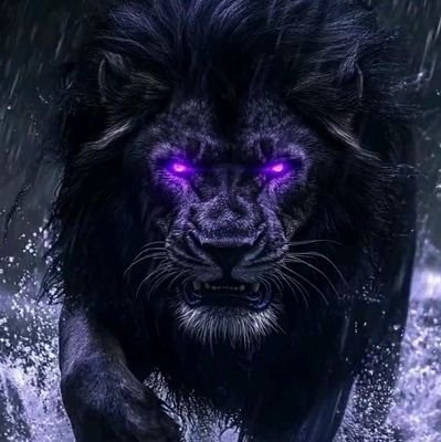CzarnyLWolnosc's profile picture. 