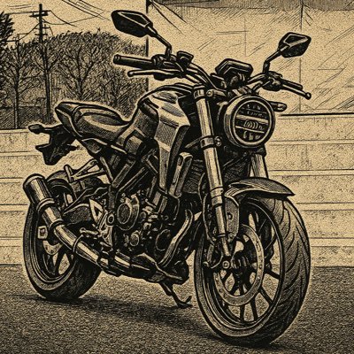 CB250R乗ってました 今はZX-6R乗ってます！早いうるさいバイクだいすき