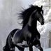 منه (@mnh1255990) Twitter profile photo منه (@mnh1255990) Twitter profile photo