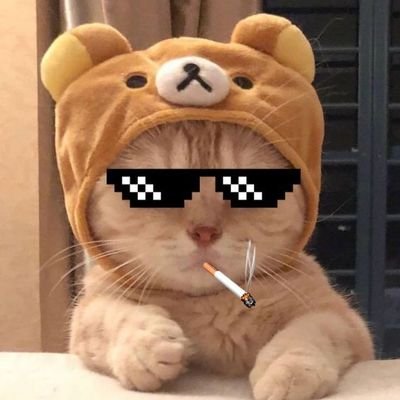 mool231620's profile picture. 