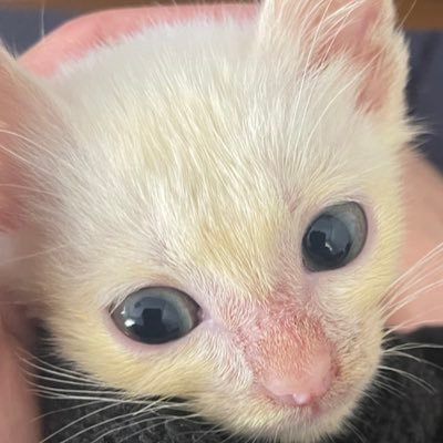 ともさんさんのプロフィール画像