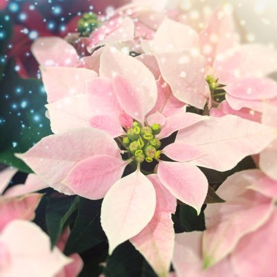 はんなさんのプロフィール画像