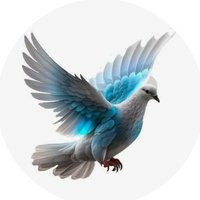 sw ꥟✨ (@swt198i) 's Twitter Profile
