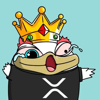 An old fella in crypto what could go wrong! #Bridge2XRPL #XRP #XRPL My conviction play : $Bert the bird , he fly high “OG meme coin” @thebertcoin xpunk #9945