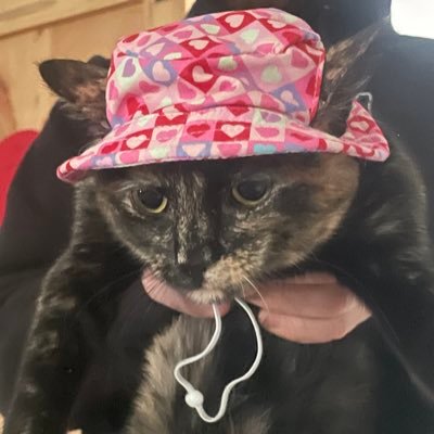 Sativasafter7's profile picture. 