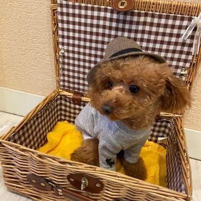 jexer16's profile picture. 晴海あたり⚓️🚢

法人登記して5期目
輸出入業してます🚢

資格試験してます
最近取得したモノ
船舶1級
簿記1級
宅建
今年「こそ」取得
行政書士

中国語🇨🇳