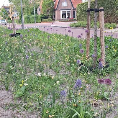 Erna64493543's profile picture. Iedereen is vrij te volgen. Echter heb jij geen enkele posts dan blokkeer ik je. Echte mensen zijn welkom😊