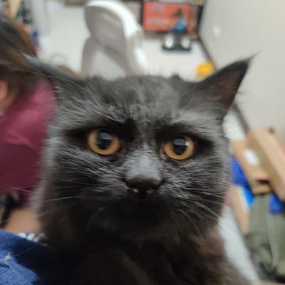 ixno_4's profile picture. 