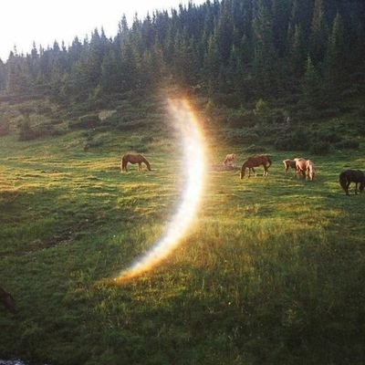 noirlessa's profile picture. 