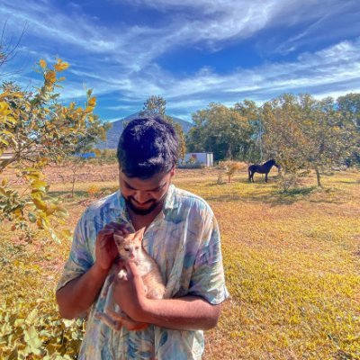Embracing the silence and loving every second of it | Macaque Healing