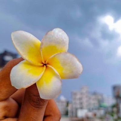 XetrilUwin1's profile picture. Hard work never goes in vain. Whether it's today or tomorrow, it will pay off.