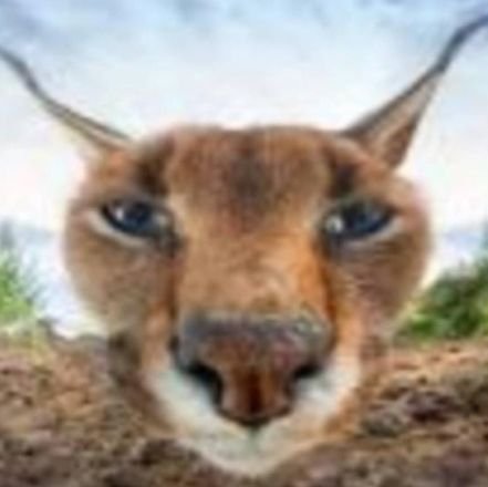 Vpokemon6's profile picture. 