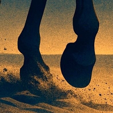 isharaat's profile picture. (إِنِّي لَأَجِدُ رِيحَ يُوسُفَ) ...