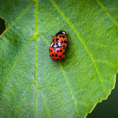 Jos64's profile picture. hffkk klomp