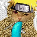 Stacy Fields - @FieldsStac96509 - Twitter