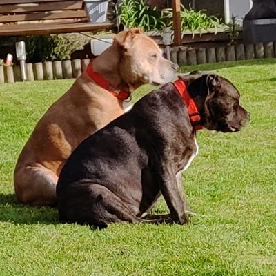 Daddybaldi's profile picture. it's 5 o'clock somewhere! Grandkids maketh man!