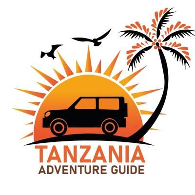 Social Media Influencer|Travel Blogger|Tanzania Tourism Promoter|Traveller|Sales and Marketing|Content Creator|Entrepreneur| Family Man|Miles with Smiles.