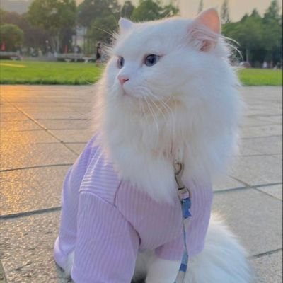 nqa_al45208's profile picture. 