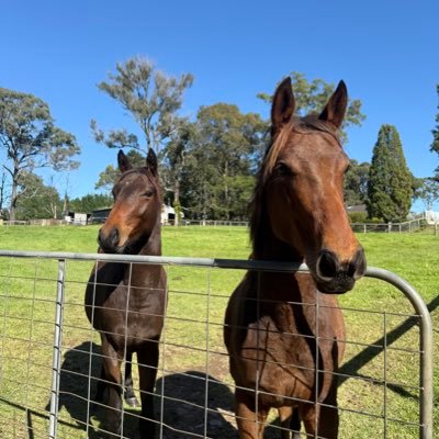 Bean counter sports fan animal lover -Twin Peaks tragic 🦉#Crypto- Parra Eels, St Kilda, Sydney FC, Denver Broncos, +thoroughbreds 🐎