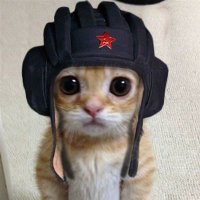 Ярослав (@taubekonrad) 's Twitter Profile