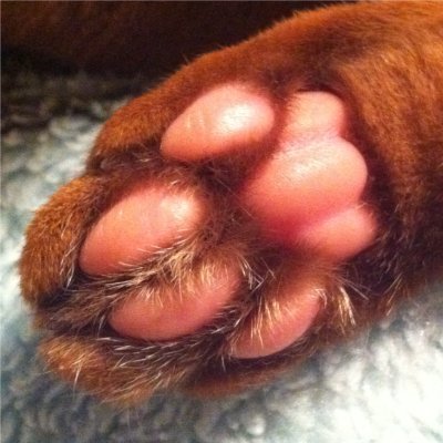 JaJaRaNyan's profile picture. TFTウマ娘部門

TFT JP Peak Challenger1259LP 
LoL Peak Diamond5 GangPlank only 

引退･サ終
Atlantica （PlayerName二色蓮花蝶）
モンスターファームオンライン