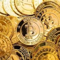 crypto blessing (@lindacarducci) 's Twitter Profile