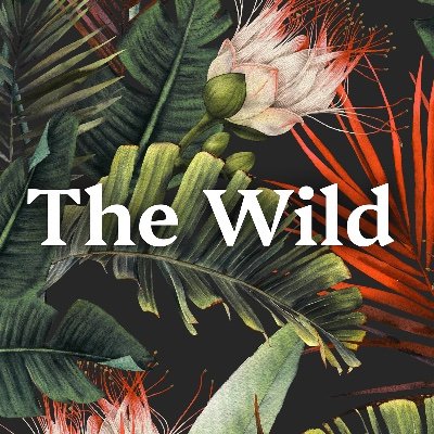 thewild_news's profile picture. 🌎 Stay informed, stay wild. 

Our free newsletter, The Wild Weekly, curates important environmental news for busy folks like you.