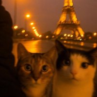 gizem (@aynengardesim) Twitter profile photo