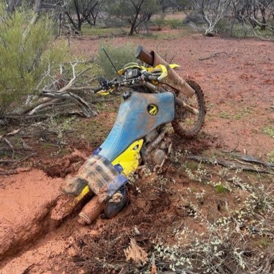 stephancoble's profile picture. Horse racing enthusiast/ownerKeen AFL Nrl supporter especially manly sea eagles