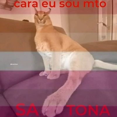 1saexistindo's profile picture. ela/dela,
21 years,
namorando a mulher mais linda do universo💜