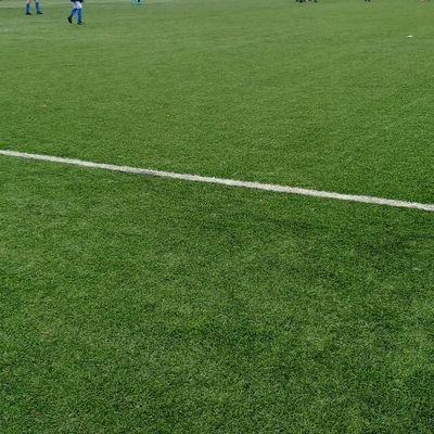 Abe1542774Abe's profile picture. 