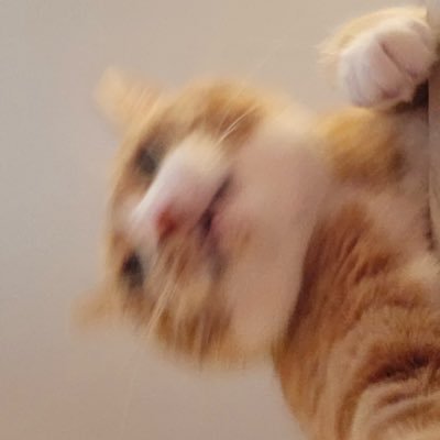 oceannms's profile picture. ⟡  Architecture student at @CAP_KSU_KSA🏛️📐