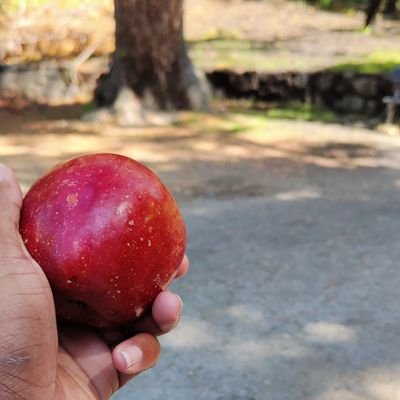 Bet9o1111's profile picture. 