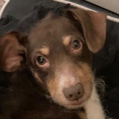 marinu77's profile picture. Me asusta la estupidez humana.....es peligrosa.