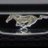 IndyMustang51's profile image